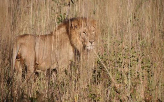 Kubu Kweena Lodge