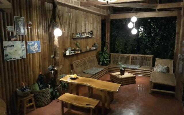 Lazy Lizard Hostel