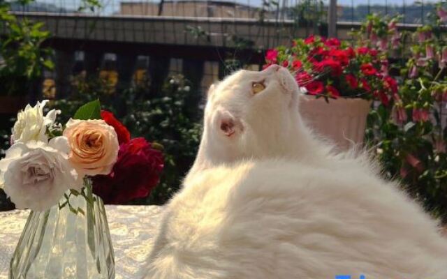 Xiaomi Apartment (Xiamen Gaoqi Airport)