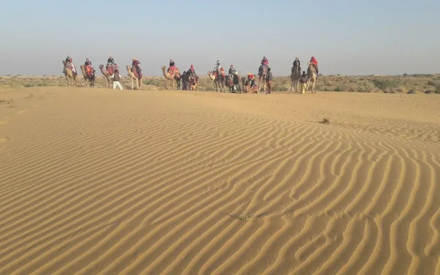 Amazing Desert Camp
