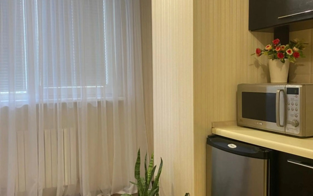 Luxury Apartments in the center