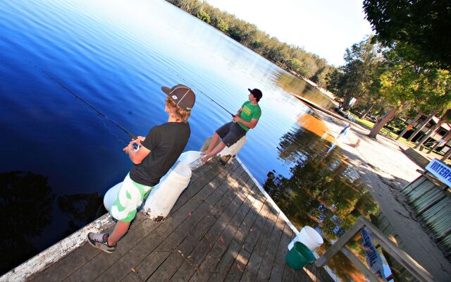 Discovery Parks - Forster