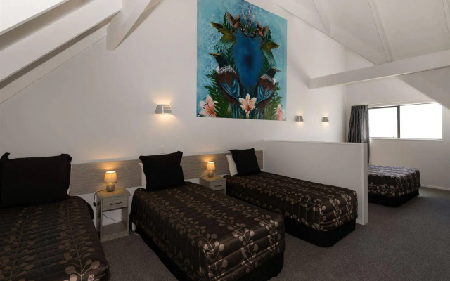 Arista of Rotorua
