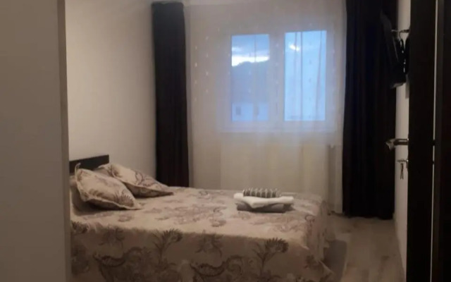 Apartament Cosmin