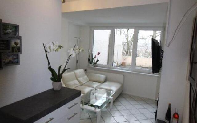 Rheinblick 3-Zimmer Apartment