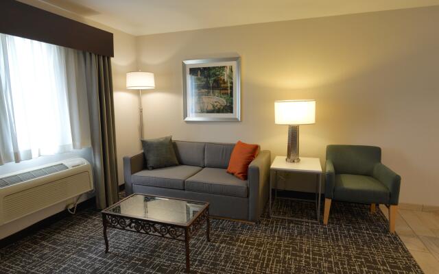 Holiday Inn Hotel & Suites Minneapolis - Lakeville, an IHG Hotel