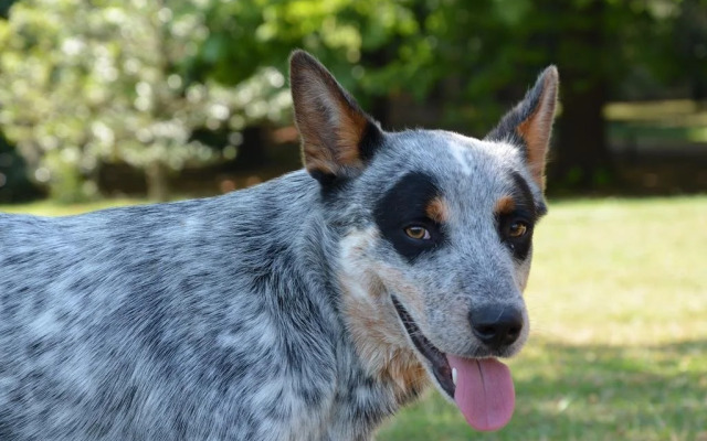 Agriturismo Donna Livia