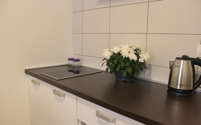 Balabusic Studio-apartment No.7