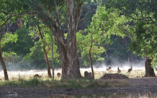 Kookaburra Motor Lodge