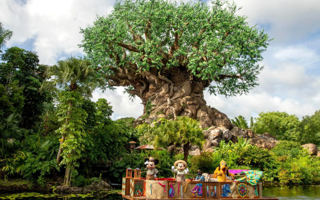 Wyndham Garden Lake Buena Vista – Disney Springs® Area