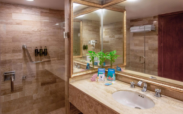 Melia Puerto Vallarta - All inclusive