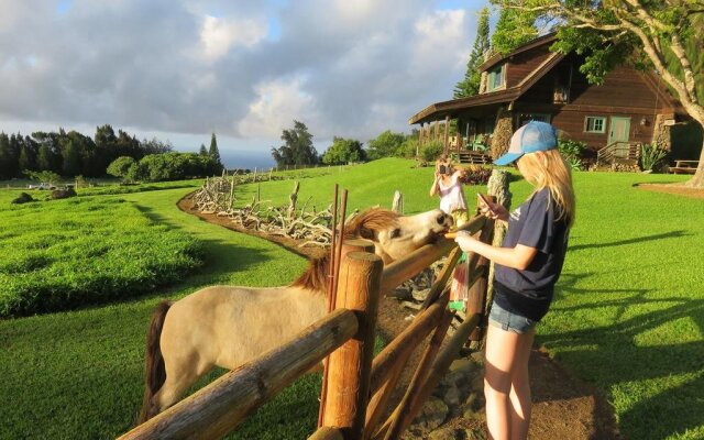 Kohala Lodge- Vacation Rental House