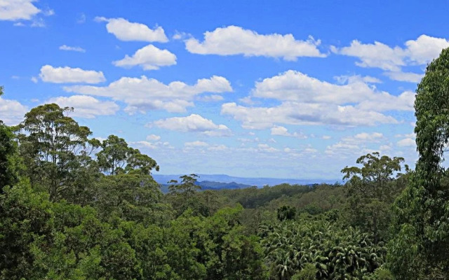 Ravensbourne Escape- Quingilli