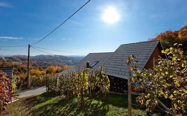 Zidanica Meglič - Vineyard cottage Meglič