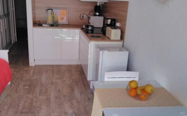 Appartement Cap d'Agde, 2 pièces, 4 personnes - FR-1-607-72