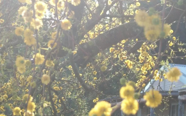 Bungalows Tiempo Libre