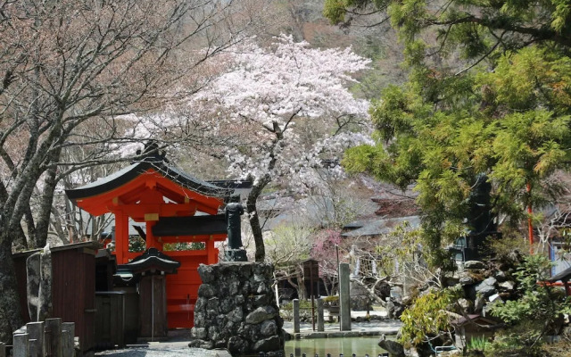 Dorogawa Onsen Iroha Ryokan (Nara)