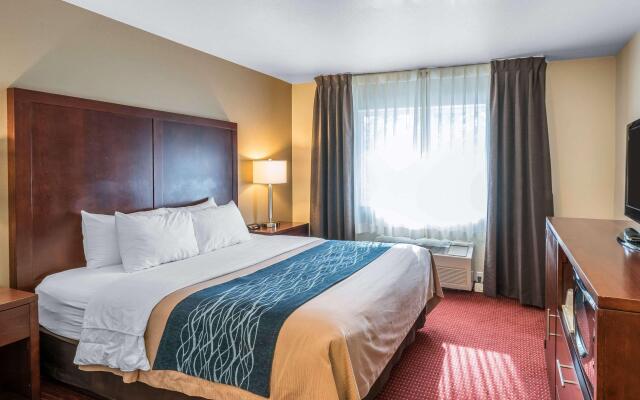 Comfort Inn Lacey - Olympia