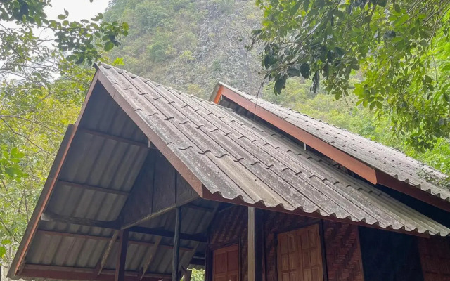 Khaosok Green Mountain View
