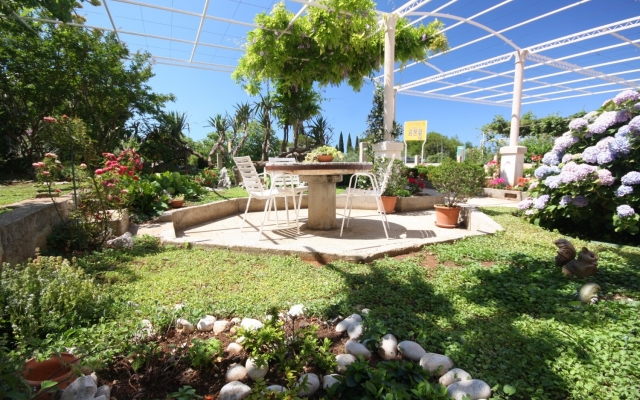 Room Nikola1 - free parking R4 Mlini, Riviera Dubrovnik
