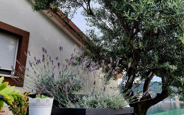 Villa Sunshine Baum
