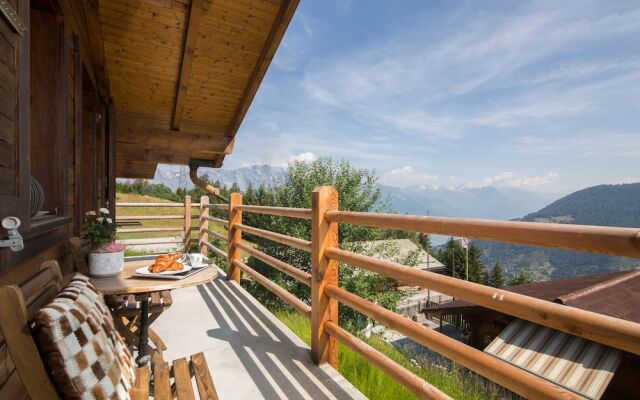 Chalet Capricorne
