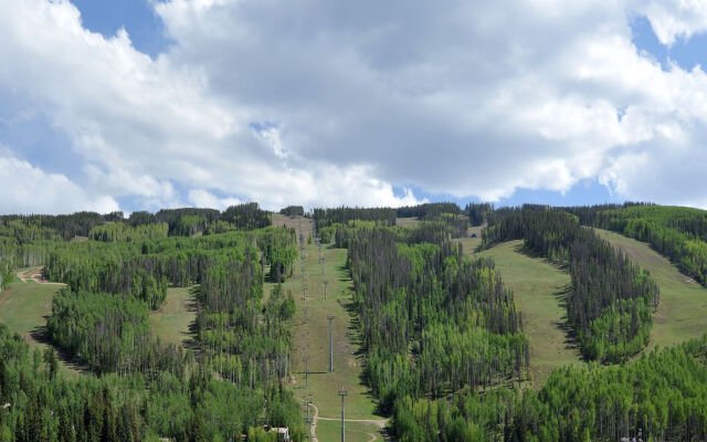 Vantage Point-Vail