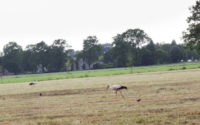 Tidy Chalet With Dishwasher, Surrounded by Nature