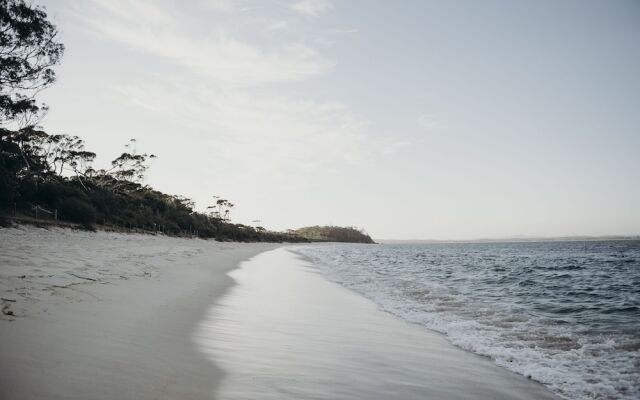 Salt At Shoal Bay