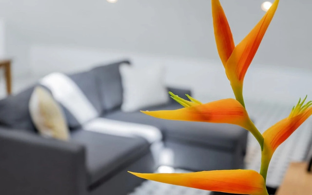 w Perfect Loft in Plaza Catedral