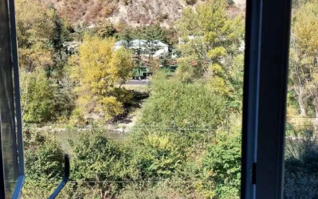 Guest House Borjomi