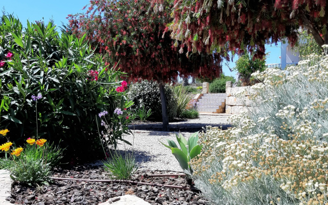 B&B Entrecolinas