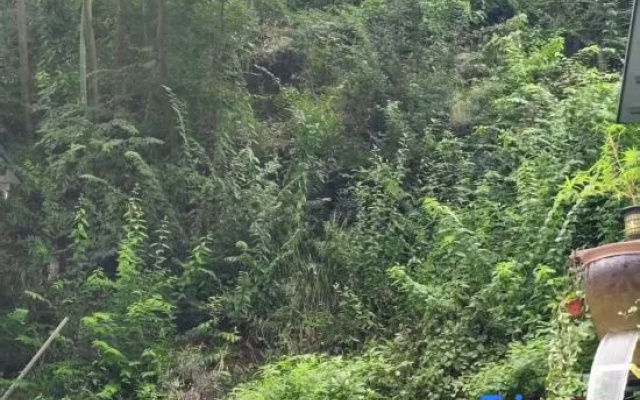 Yizhu Shanju Homestay (Xidi Scenic Area of Tourism, Huangshan) – Outside – Huangshan
