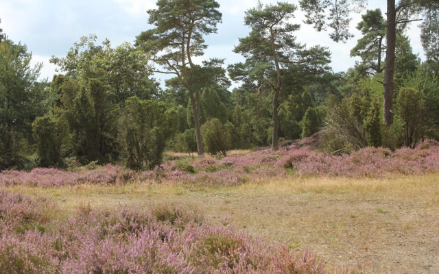 Vakantiehuis NamaStee