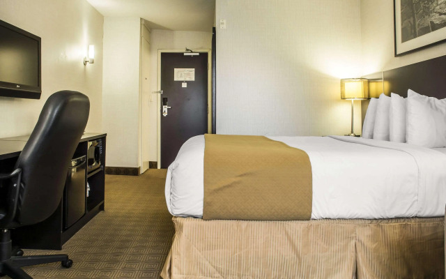 Quality Hotel