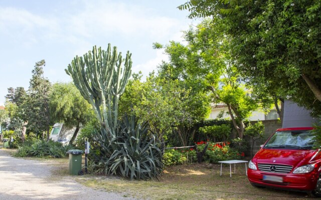 Camping Degli Ulivi