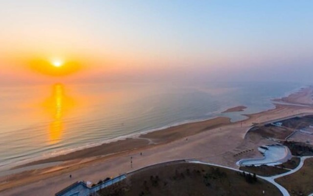 Mangrove Tree Resort World  Coconut Grove Tower