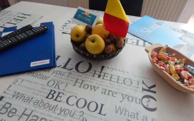 Sibiu Home 1