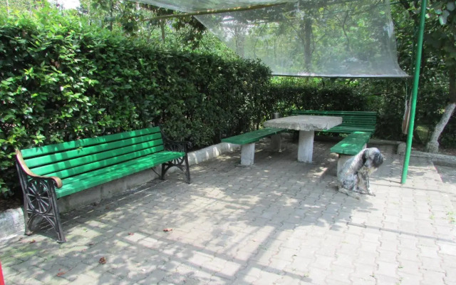 Joni Guest House