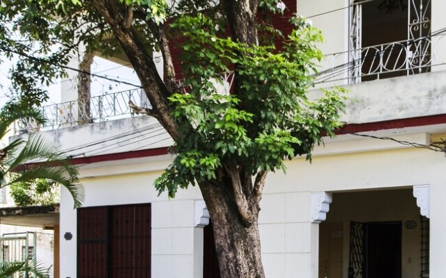 The Terrace