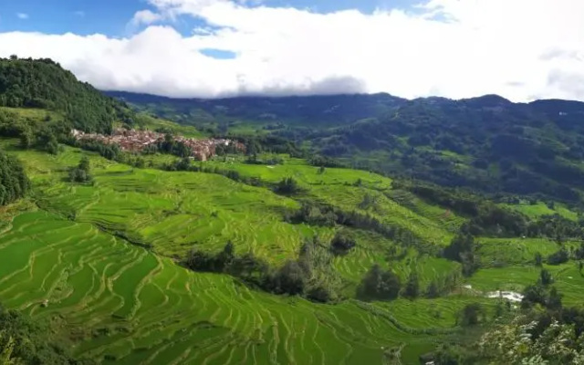Green Hostel & Sunny Guesthouse