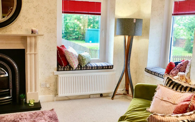 The Little Beech Tree