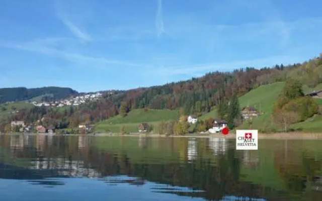 Chalet Helvetia