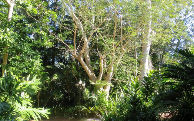 Victoria's at Ewingsdale