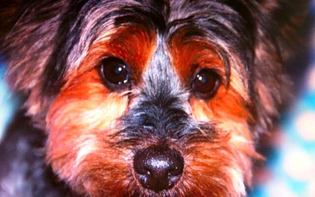 Chambres d'hôtes chez Martine