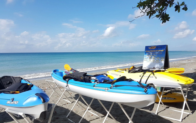 Coconut Paradise Beach Hotel