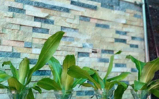 Hotel Phuong Thao