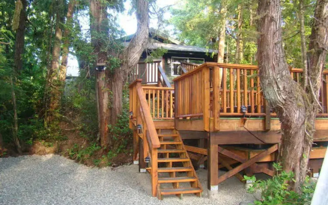 Tofino Forest View Cabin by Cox Bay