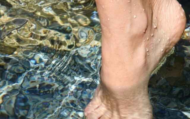 Ferienwohnung Chiemsee