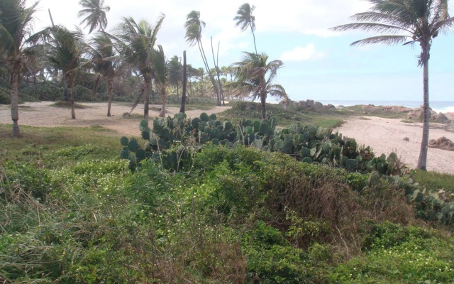 Stellamares Apartamentos